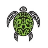Primary Care Hawaii Conferenceimg