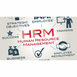 Human Resources Management Development and Auditingimg